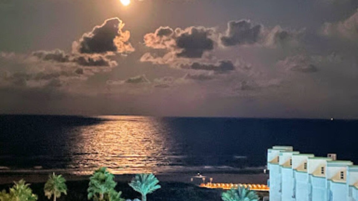 South Padre Island Resort | 23rd floor Ocean view three bedroom condo at the Sapphire Resort!