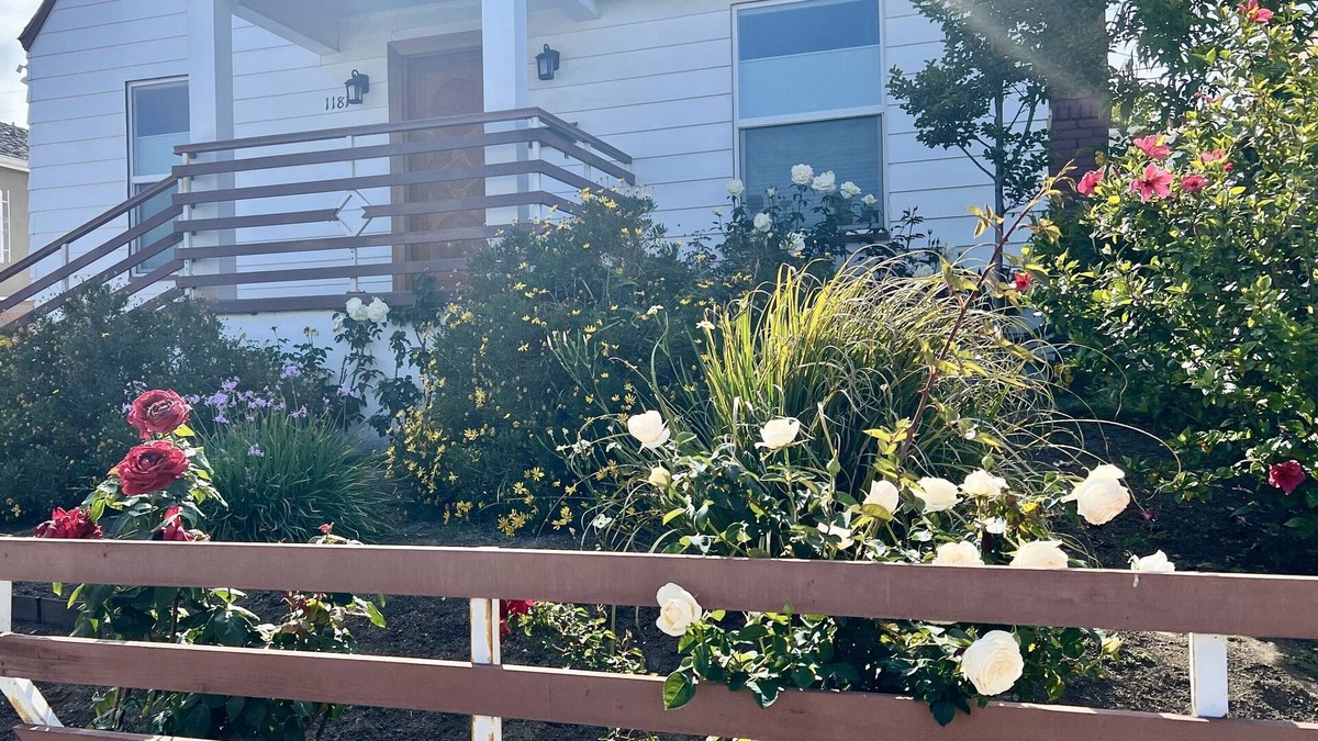Mid-Wilshire House | 2br/1ba Mid-Wilshire Hideaway— Where LA Comes Together. Quiet, central retreat.