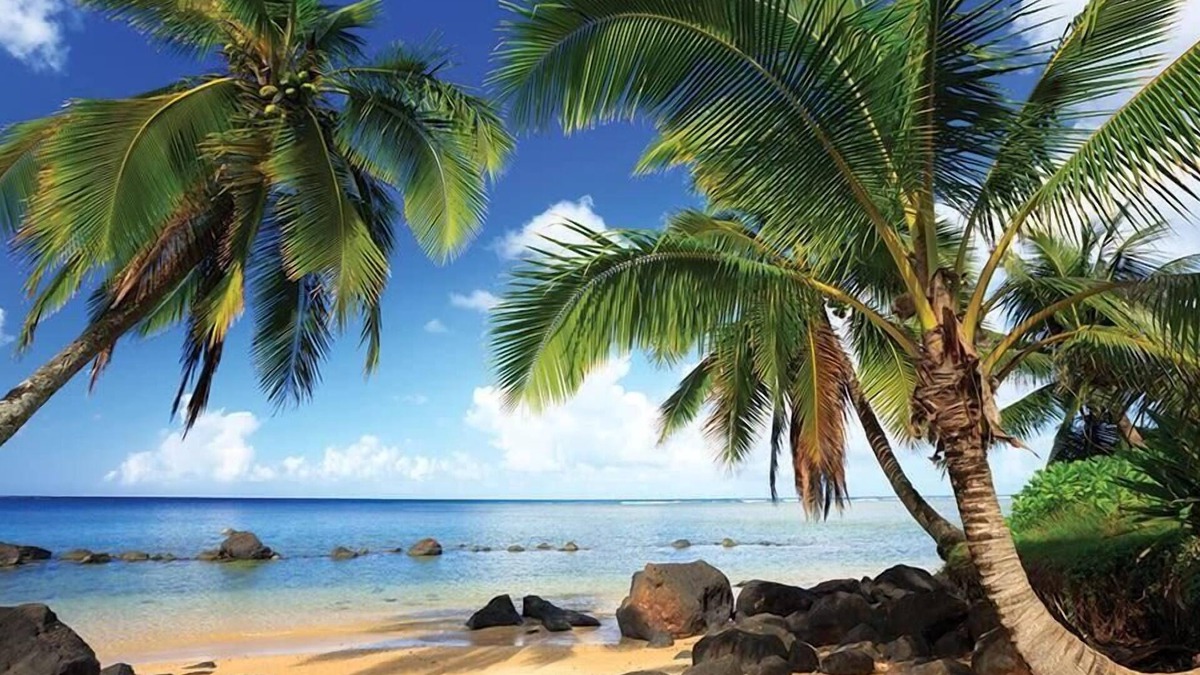 Princeville Hotel | 2br Deluxe Unit Anini Bay & Hanalei Views