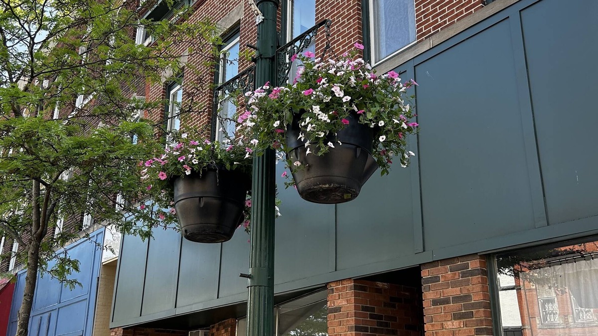 Geneva Apartment | 2nd Floor 2 Bedroom Extra Large Apartment Historic Downtown Geneva