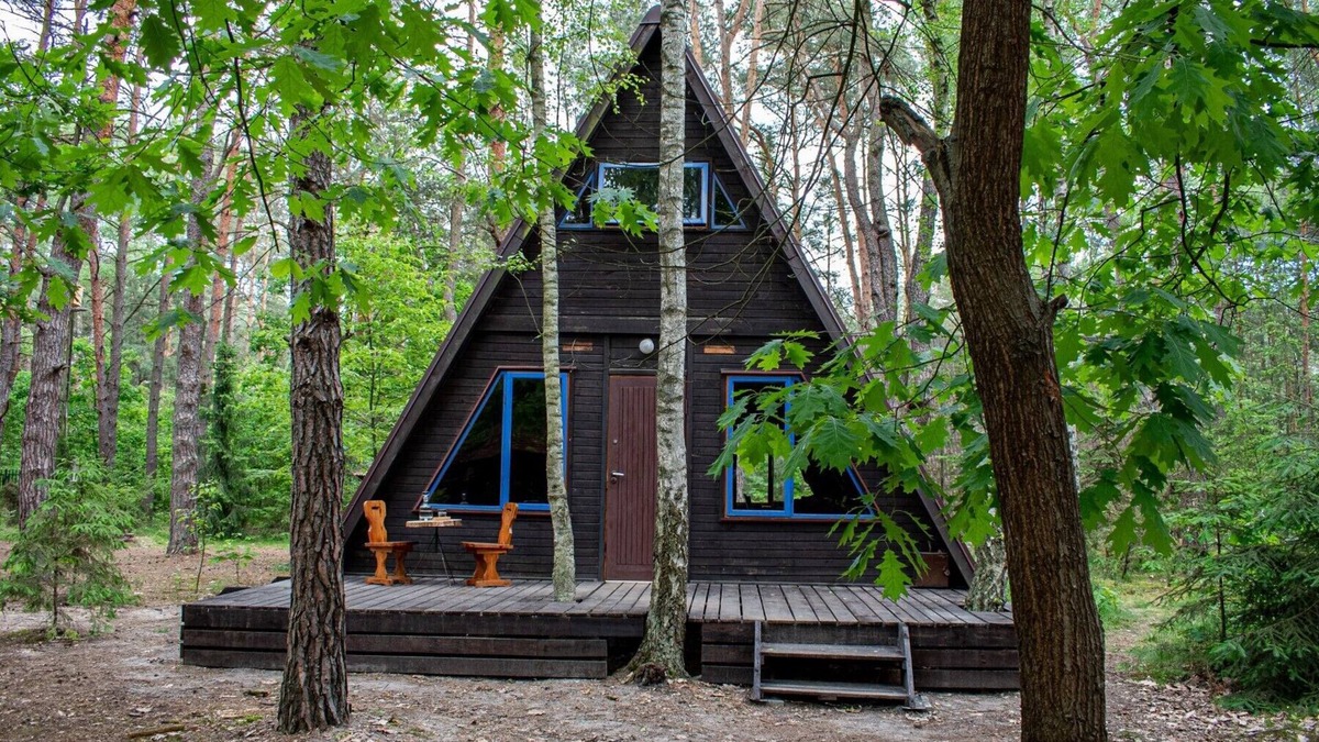 Wilga Cabin | 3 A-shaped cottages in a beautiful forest 1 hr drive from Warsaw