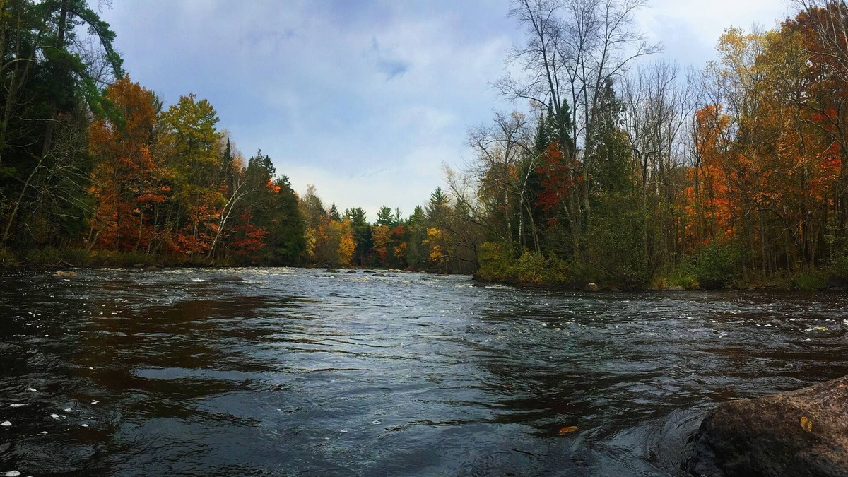 Athelstane Cabin | 3 bedroom cabin with private access to 2000 feet of river frontage
