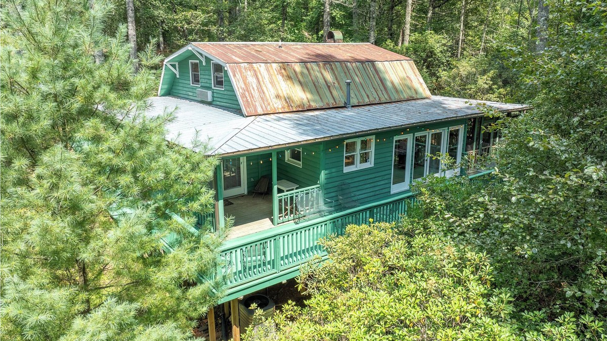 Cedar Mountain Cabin | 3 Bedroom Dog-Friendly Cabin Near Dupont State Forest