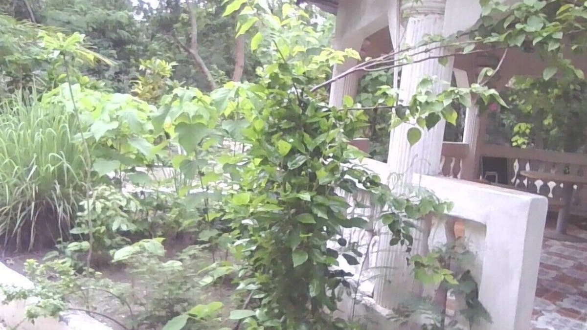 Gunjur House | 3 bedroom house within Tranquil estate with WiFi in Gunjur