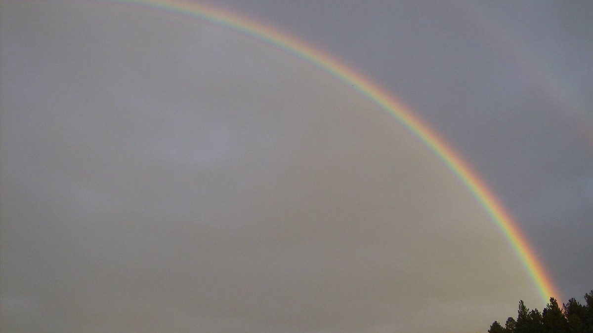 Nemo House | 3 Bedrooms, 1 den; 4 queen size beds; 2-bathroom Home in Historic Nemo