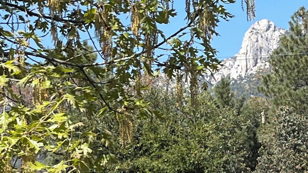 Idyllwild House | 3-Bedrooms in Idyllwild - AC, nJacuzzi, Sauna, Fitness-Game Room, Epic Views