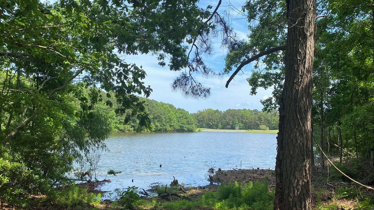 Harbinger House | 3 Br/2 Bath Waterfront Vacation Home-Pet Friendly