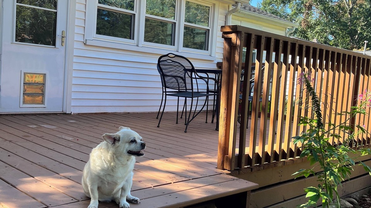 Easley House | 3 BR house convenient Clemson Greenville Silos. Fenced yard-Deck. Dog friendly