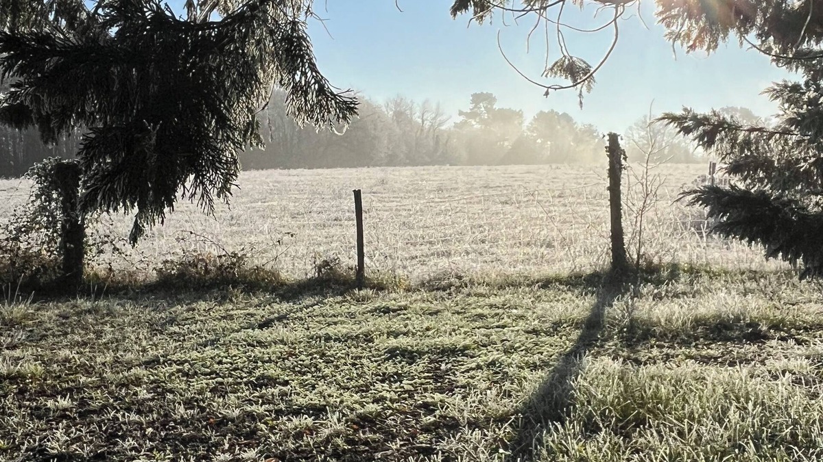 Les Eyzies House | 3 country houses. Chestnut 6 pers Clove 2 pers Hazelnut 6 pers.
