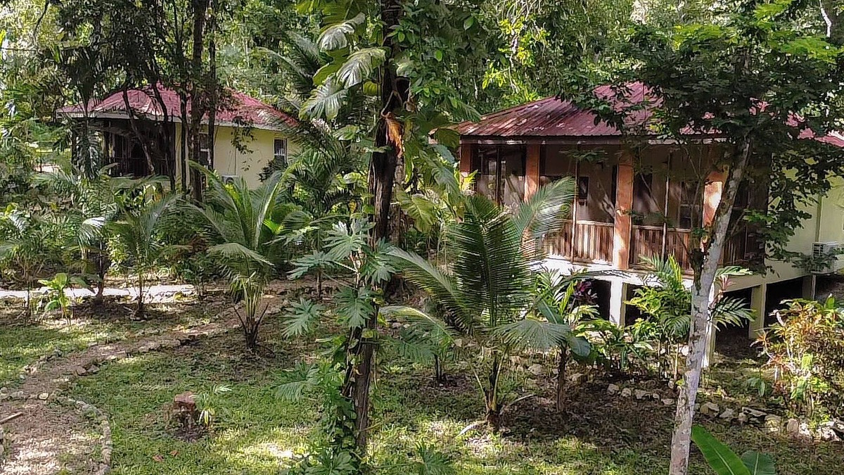 San Ignacio House | 3 Jungle Cottages near town~6 beds~AC~ Restaurant onsite~ Continental Breakfast
