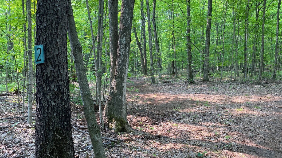 Beulah RV Rental | #3 Private Wooded Campsite for Tents or Small RV's