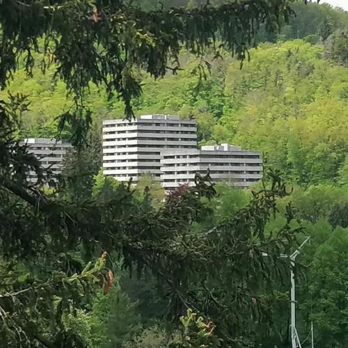 Bad Harzburg Apartment | 3 Zimmer Apartment Kostenfreien WLAN