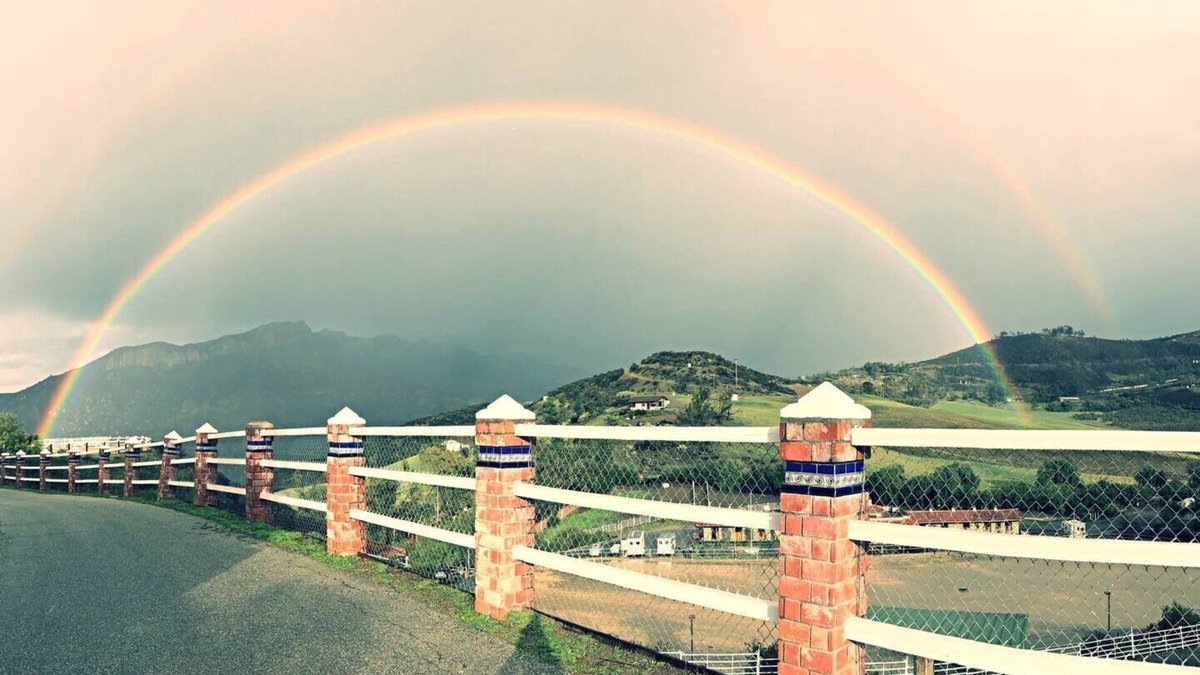 Malibu House | 30 Discount on Malibu's Private Retreat +Dogs