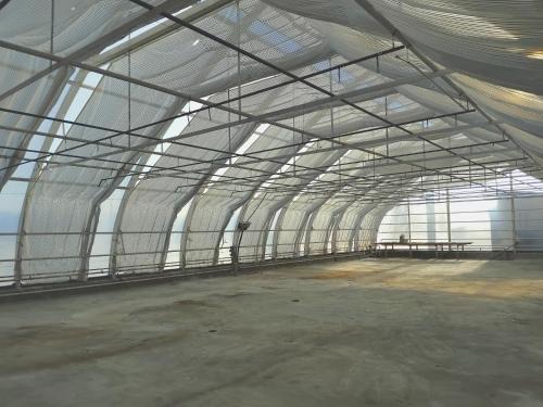 Pargas Other | 300m2 greenhouse