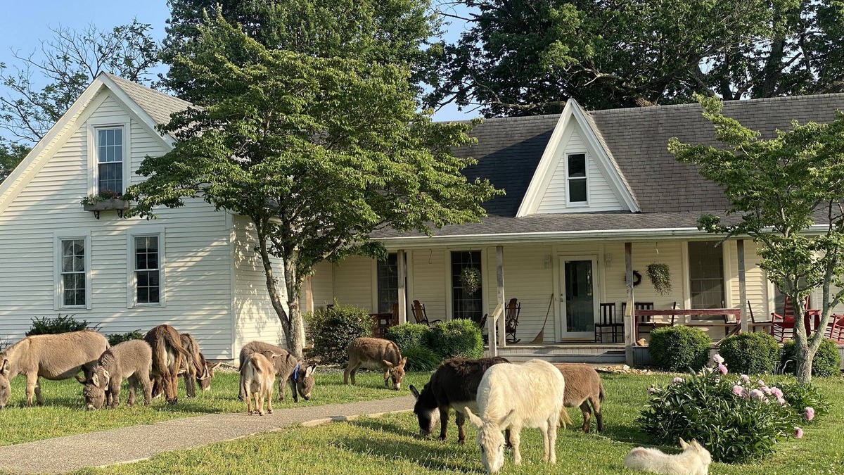 Heltonville House | 3547 Pleasant Run Rd