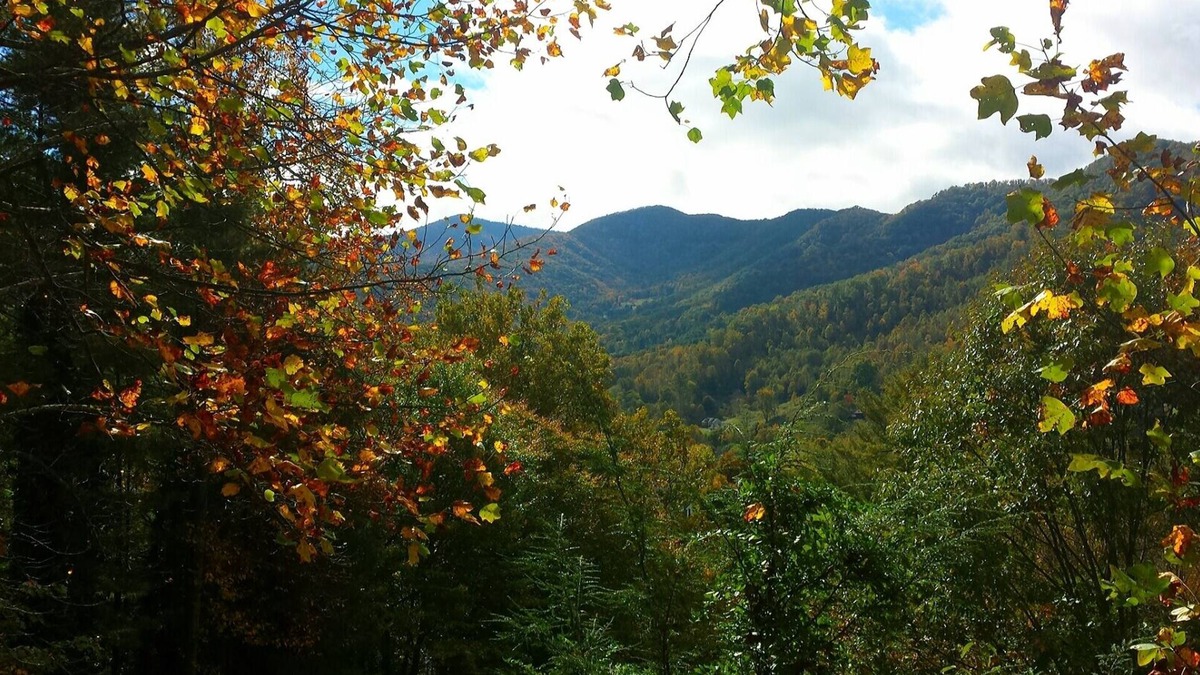 Waynesville House | 3BD/3BA Magnificent Views of Balsam Mountain