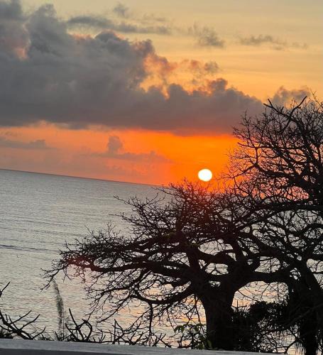 Funzi Island Villa | 3bed oceanfront with Ac &gazebo