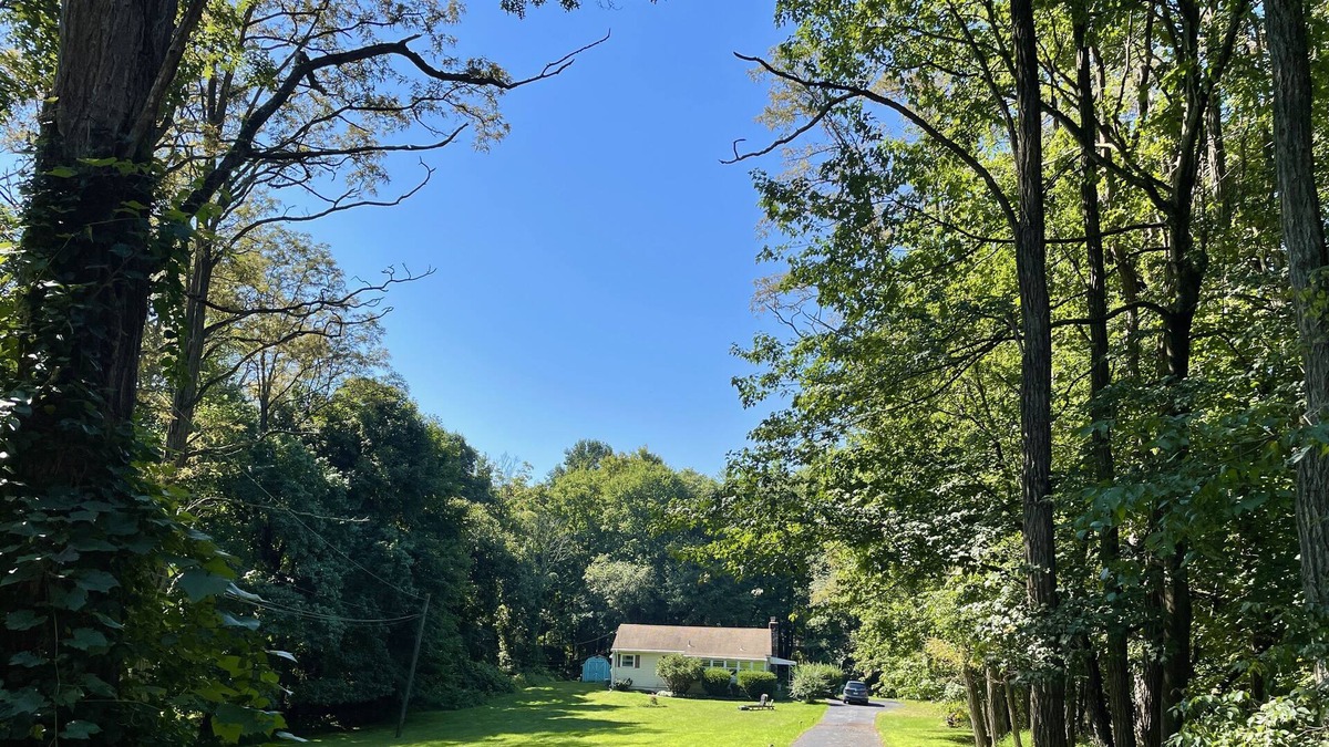 Cold Spring House | 3BR/2BA (+studio) with Yard in Beautiful Wooded Cold Spring neighborhood