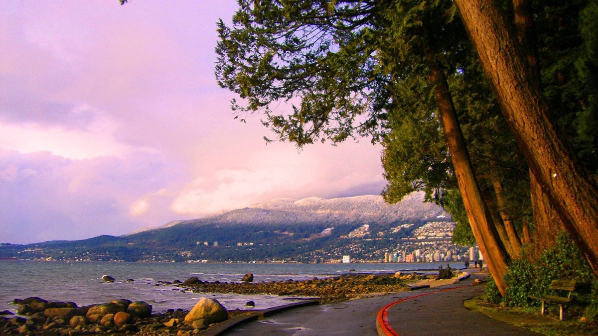 Coal Harbour House | ❤️3BR/3BA Downtown Luxury Townhouse❤️