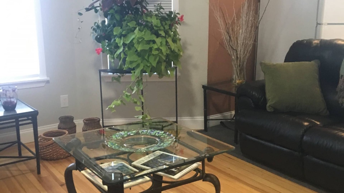 Winter Hill Apartment | 3RD Floor unit · Sun-Drenched, Quiet 3rd Floor,3 bedrooms