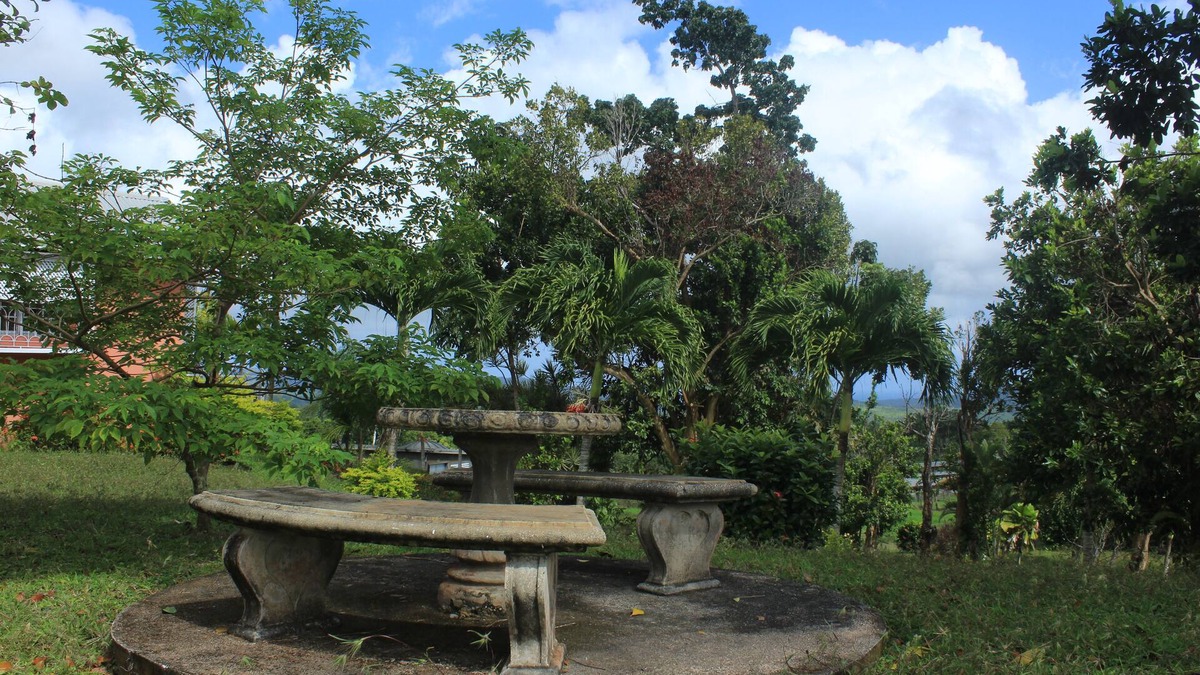 Port Maria House | 4 BD / 3 1/2 BA Farmhouse ~ Located in The Cool Hills Of St. Mary, Jamaica