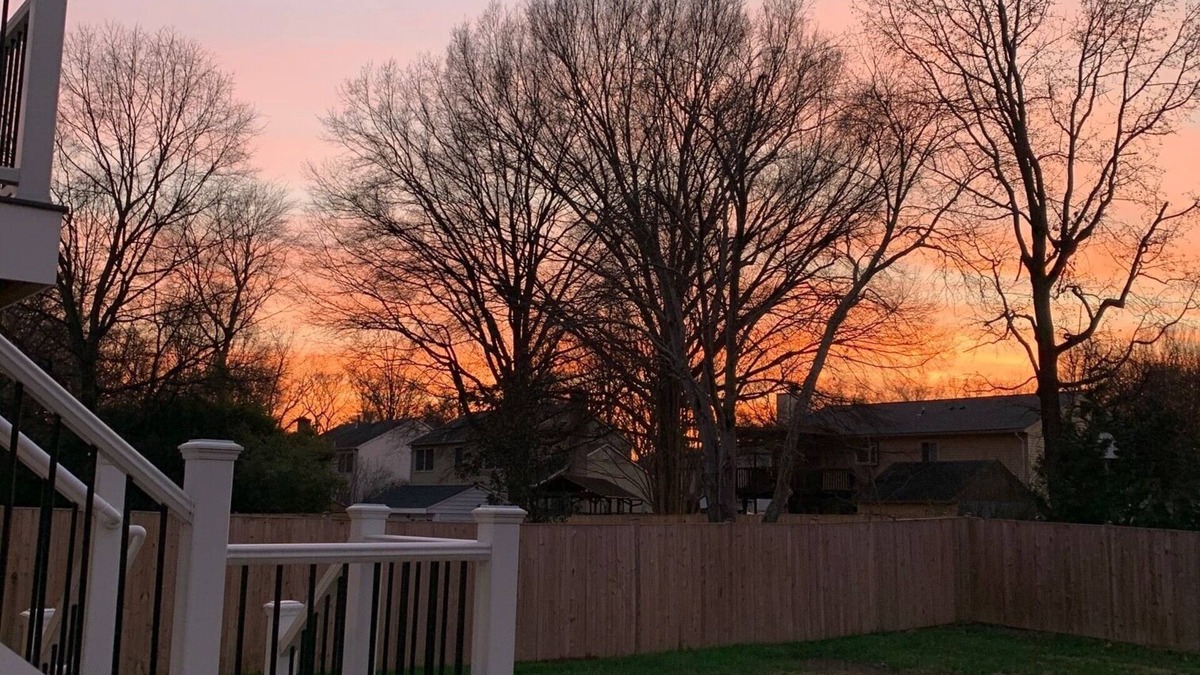 Fort Hunt House | 4 bdrm, entire house - great neighborhood - south Alexandria