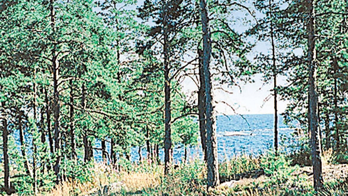 Hammaro Municipality House | 4 bedroom accommodation in Hammarö
