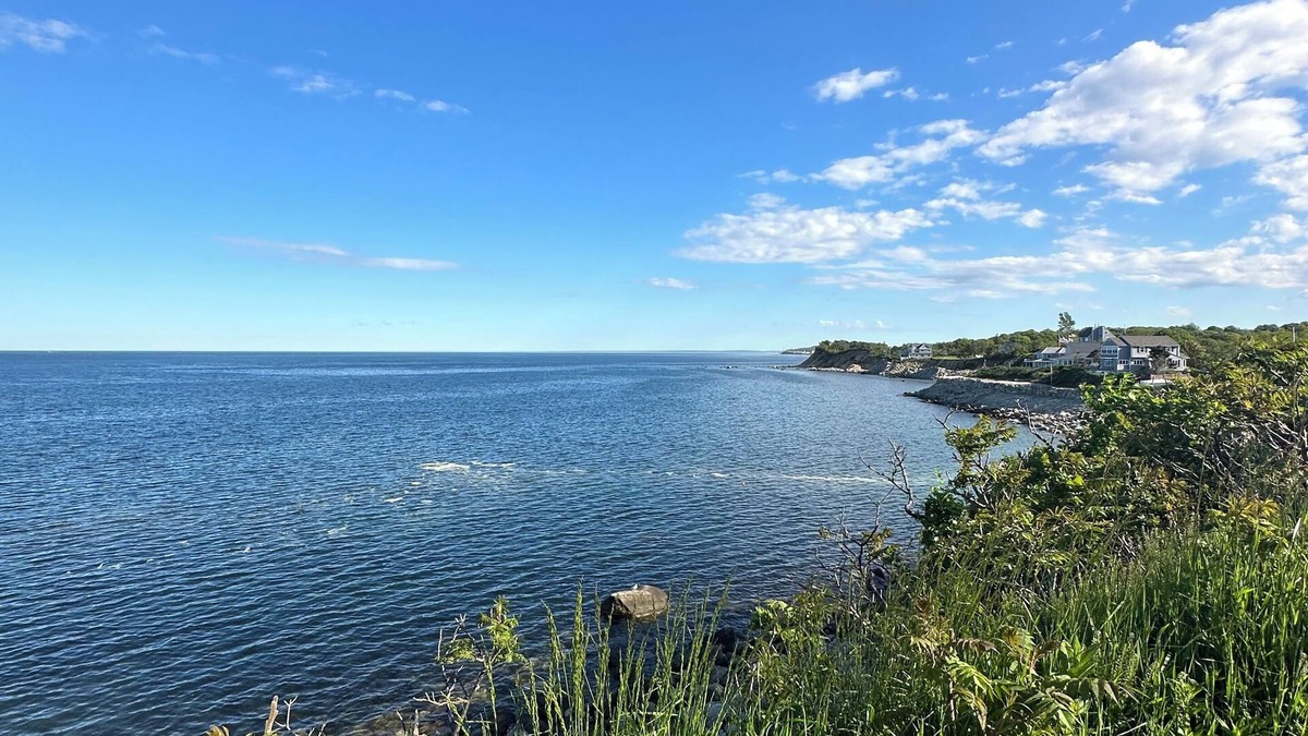 Cedar Bushes House | 4 br Cozy Family home with Pool . Near Whitehorse beach and downtown Plymouth.