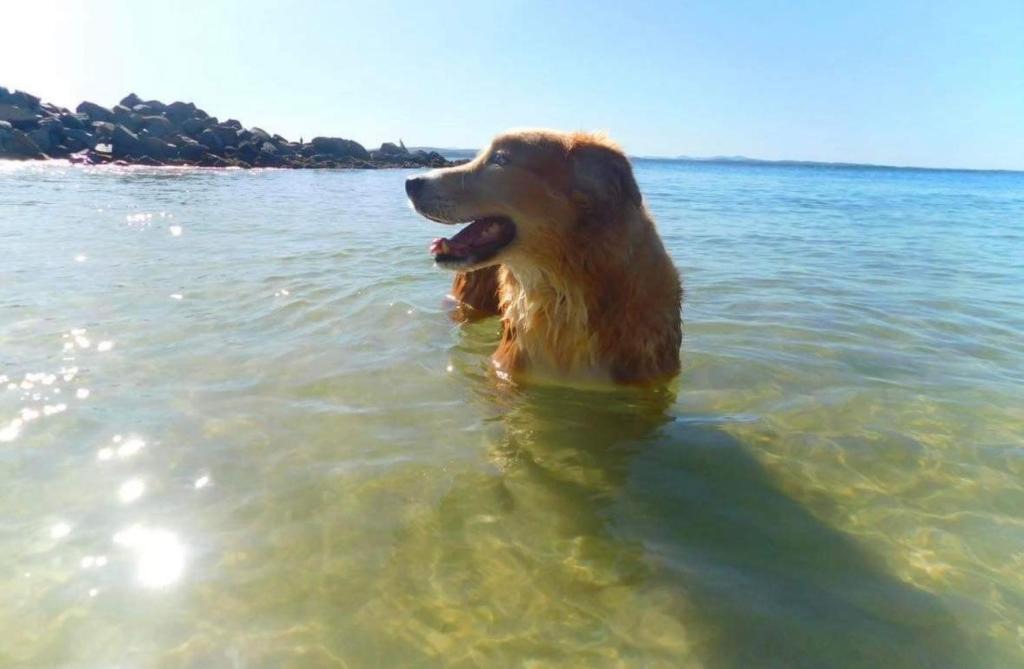 Salamander Bay House | 4 Gilchrist Rd - pet friendly, air con, Wi-Fi