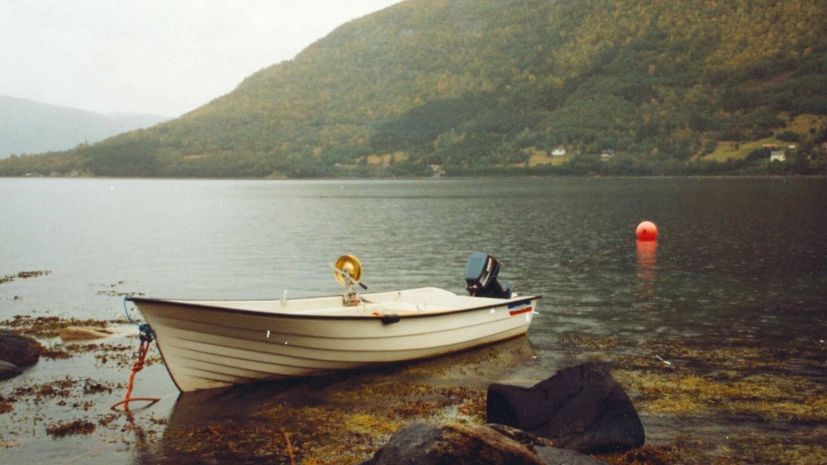 Nesset House | 4 person holiday home in Vistdal