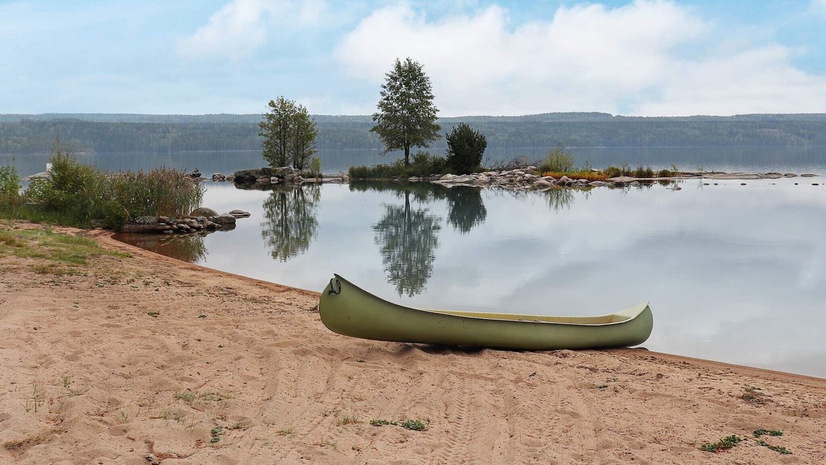 Arjang House | 4 person holiday home in Årjäng