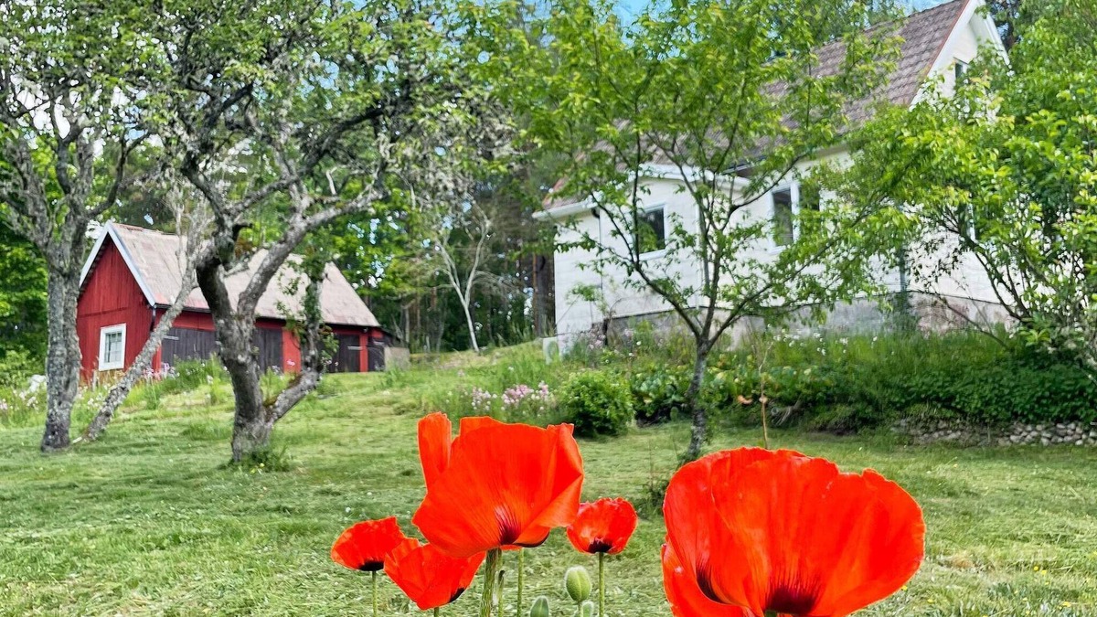 Asarum House | 4 person holiday home in ASARUM