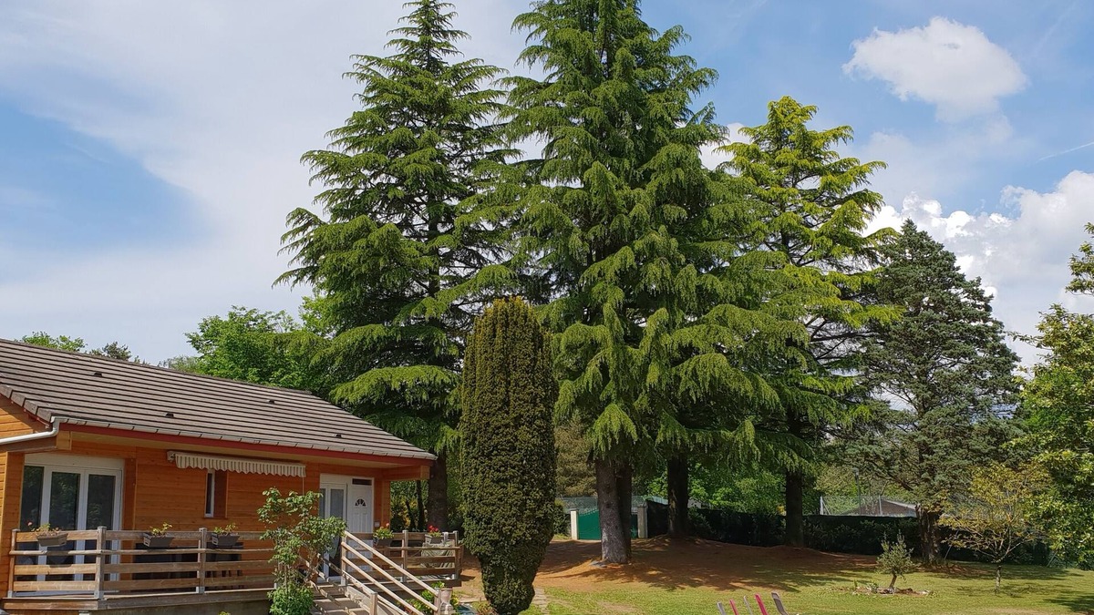 Beynat Ski Chalet | 4* private chalet with heated pool, at Lac de Miel