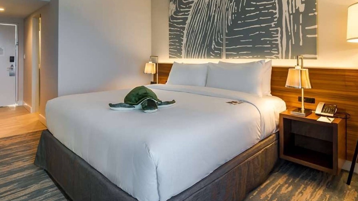 Central Beach Hotel | 4 Resort Rooms with Pool Near Wreck Bar Show & Beach