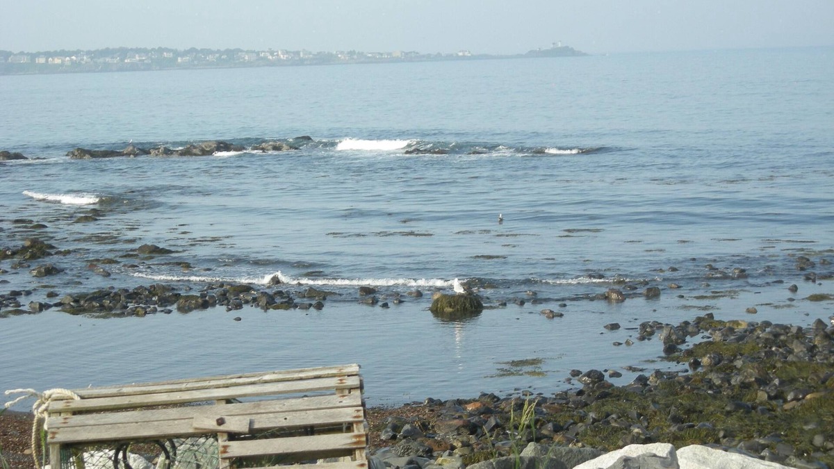 York Harbor House | 40' from the ocean! Fri check in. Magnificent views of the coast and lighthouse!