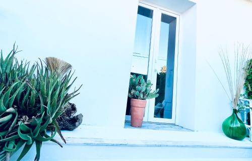 Torre Chianca Apartment | 40 m² Apartment ∙ 1 bedroom ∙ 2 guests