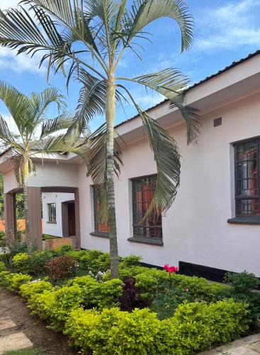 Lilongwe Bed & Breakfast | 47 The Heights, Area 47, Sector 1, Lilongwe