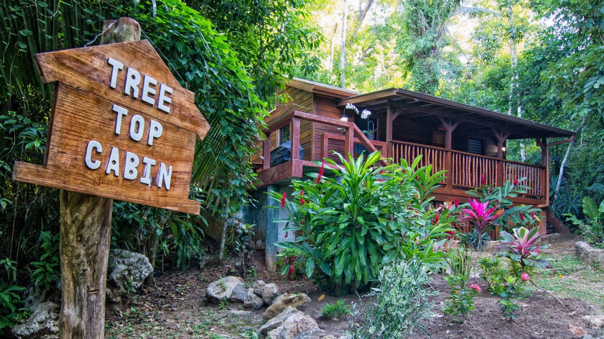 Macaw Bank Cabin | $ 49 - $74 a night ! One Bedroom Belize Vacation Rental in the Rainforest