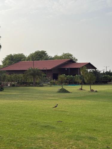 South West House | 4BHK Greenwood Farm And Lawn -Bijwasan I Delhi-Gurgaon Border I 87oo2o5865