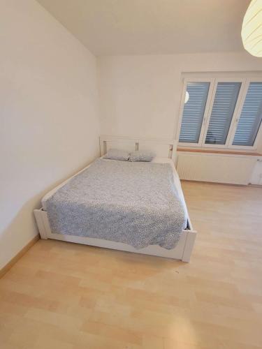 Center Apartment | 5-Bed Huge Flat in Zurich City - Schurgi - Self Checkin