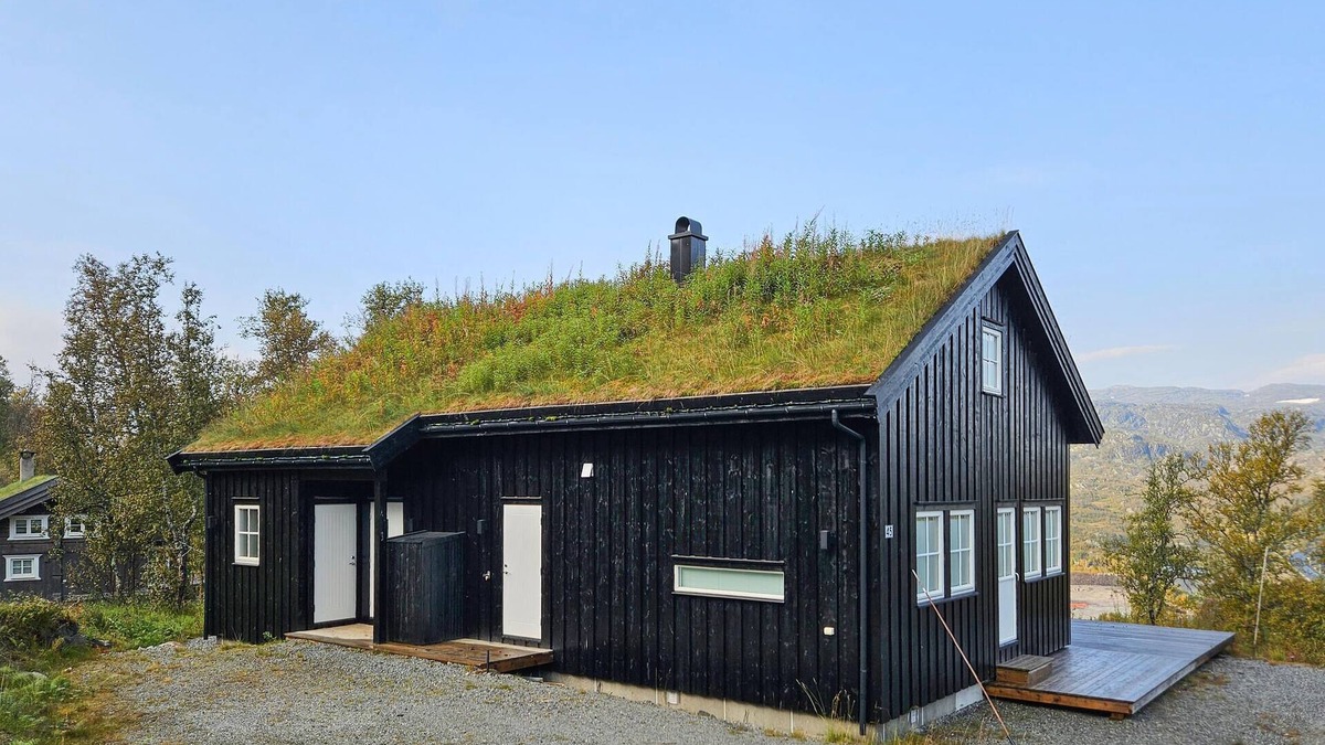 Vinje House | 5 bedroom nice home in Edland