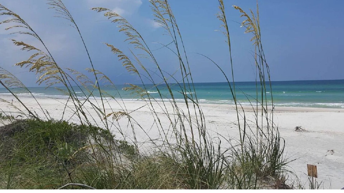 Gulf County RV Rental | 5 miles from the beautiful GULF OF MEXICO! Secluded, private, family campsite!
