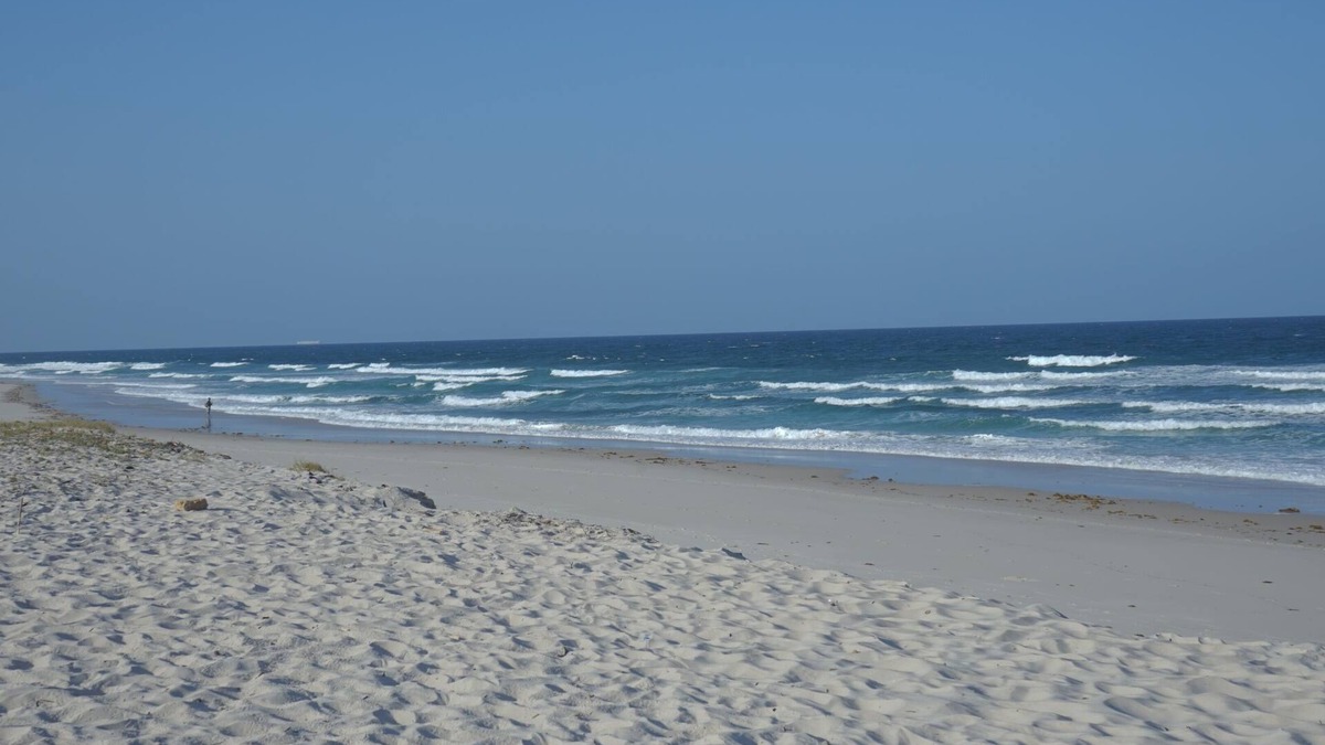 Dar es Salaam House | 5 min to the beach, stylish and peaceful place. Perfect for group trips/family