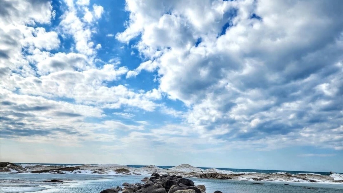 Southampton Cottage | 5 Minutes to Southampton's gorgeous beach! Family and pet friendly cottage.