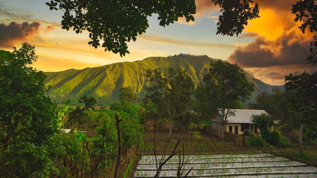 Kecamatan Sembalun Hotel | 5 minutes walk to the gate of the Rinjani Mount Trekking Centre in Sembalun.