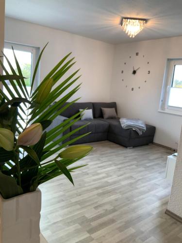Beltheim Apartment | 5 Sterne Wohnung Hunsrück Harmonie