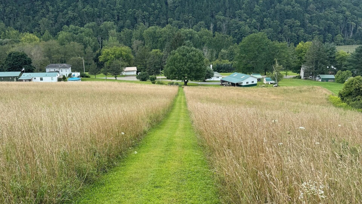 Cameron Cabin | 50 Acres of Adventure: Discover Walter’s Place”