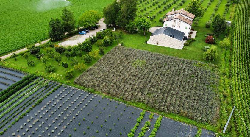 Ponti sul Mincio House | 52 m² Farmhouse ∙ 4 guests