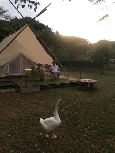 Phaya Yen Other | 5m Belle Tent for 4 people