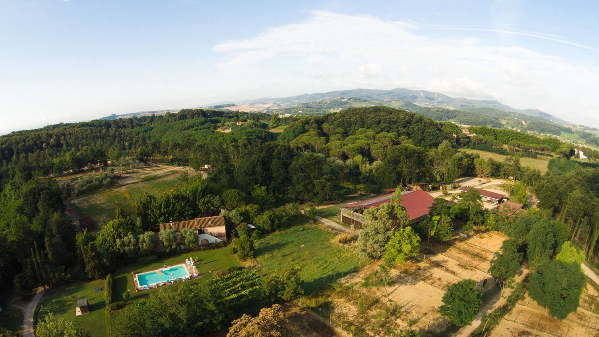 Fauglia Apartment | 60sqm two-room apartment in a splendid Tuscan farmhouse with swimming pool and exclusive gazebo